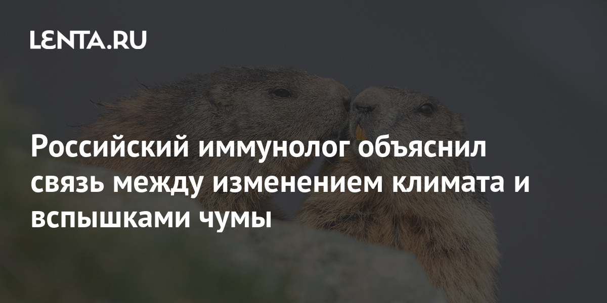 Длинношерстные породы