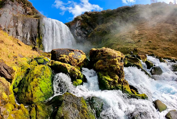 Альпийская горка своими руками - 80 фото, идеи как сделать