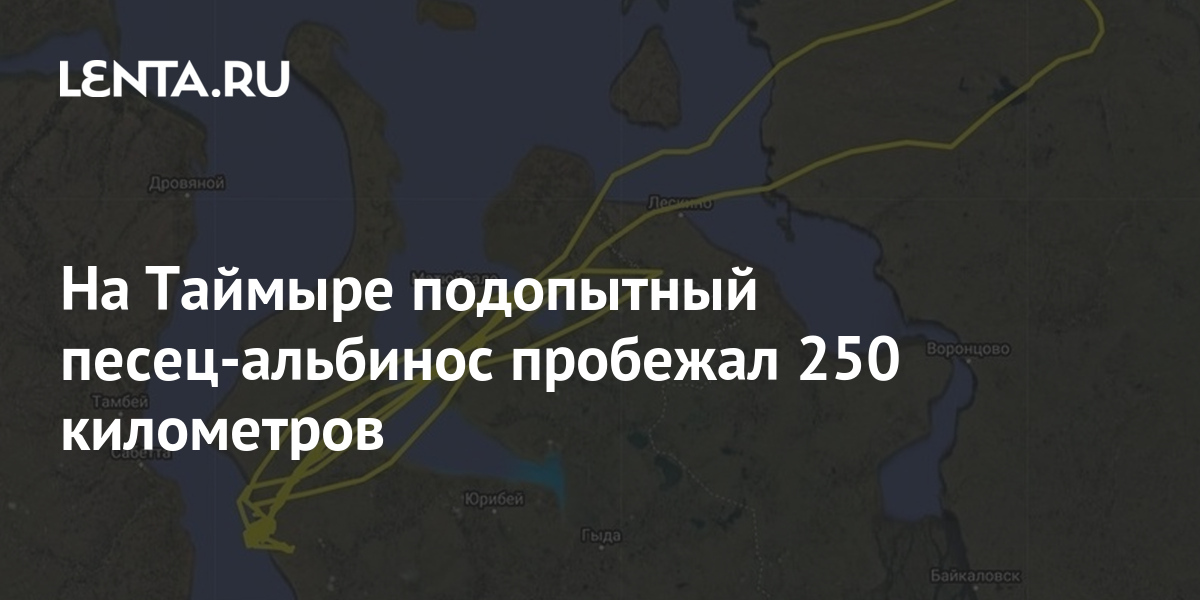 Случилось это весной на таймыре основная мысль. Река Россонь на карте. НПЗ Краснодарского края на карте. Ильинский НПЗ Краснодарский на карте. Ильинский нефтеперерабатывающий завод.