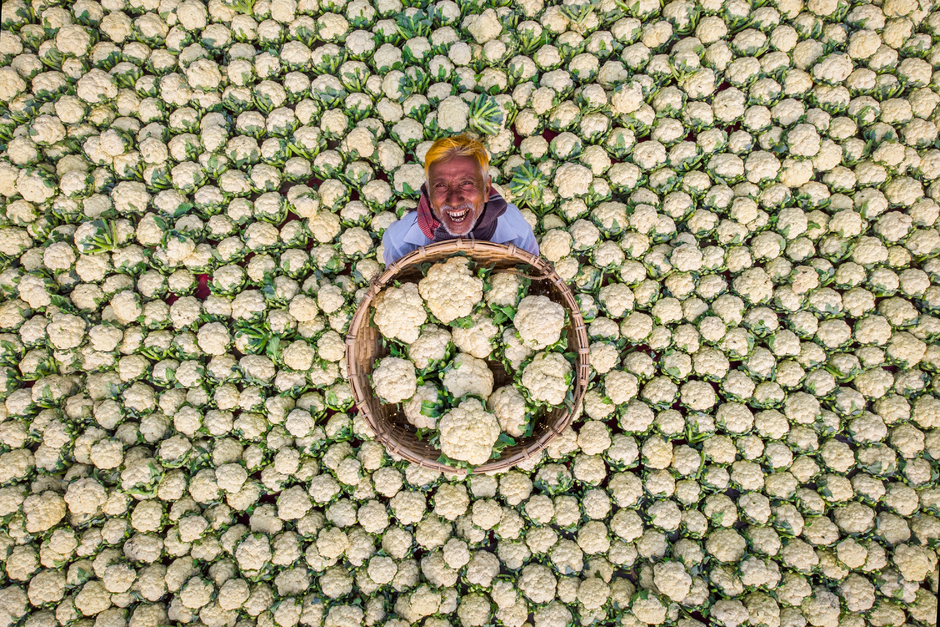 Еще один фотограф из Бангладеш Рафид Ясар (Rafid Yasar) запечатлел фермера, который радуется хорошему урожаю. Этот снимок стал первым в его серии «Зимние солдаты», посвященной людям, которые занимаются сельским хозяйством. Кадр получил особую отметку жюри в номинации «Моя планета».

Ясар рассказал, что своей фотографией хотел показать миру, что люди могут улыбаться, несмотря на бедность и невзгоды. «Прошлой зимой я много времени провел с ними (фермерами — прим. «Ленты.ру»). И увидел, что эти люди умеют по-настоящему радоваться», — поделился он.

Сейчас фотограф оканчивает университет и работает корреспондентом в детско-юношеском просветительском издании «Подростковый свет». Он отметил, что если выиграет в конкурсе, то отдаст часть гонорара улыбающемуся фермеру, которого он сфотографировал. «Он научил меня тому, что даже маленького проблеска счастья достаточно, чтобы жить», — добавил Ясар.