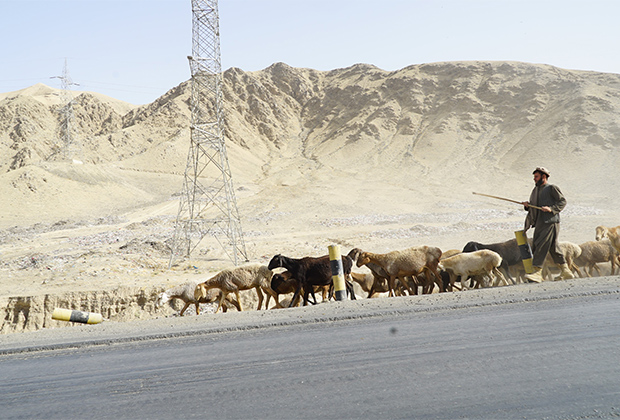 Пастух, провинция Саманган. На заднем плане — одна из опор линии электропередачи, по которой идет электричество из Узбекистана в Афганистан 