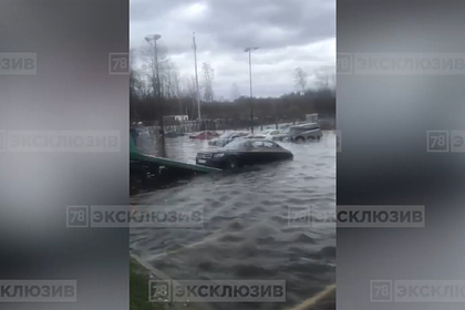 Сотню затопленных автомобилей на парковке в России сняли на видео