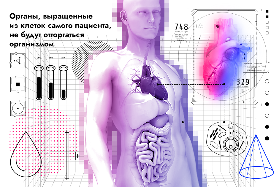 Как российские ученые создают искусственные органы | РБК Тренды