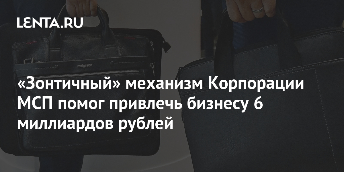 Зонтичный механизм Корпорации МСП помог привлечь бизнесу 6 миллиардов рублей Деловой климат Экономика Lenta.ru