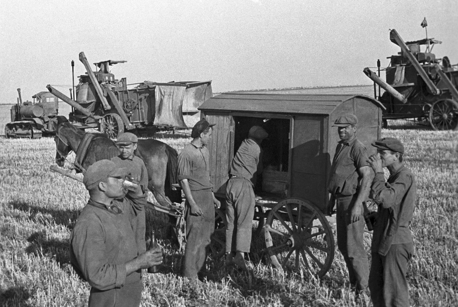 Полевые работы в зерносовхозе «Большевик» Серпуховского района Московской области. 1939 год