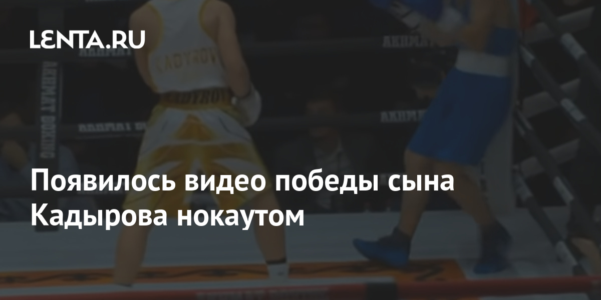 Появилось видео победы сына Кадырова нокаутом: Бокс и ММА: Спорт: Lenta.ru