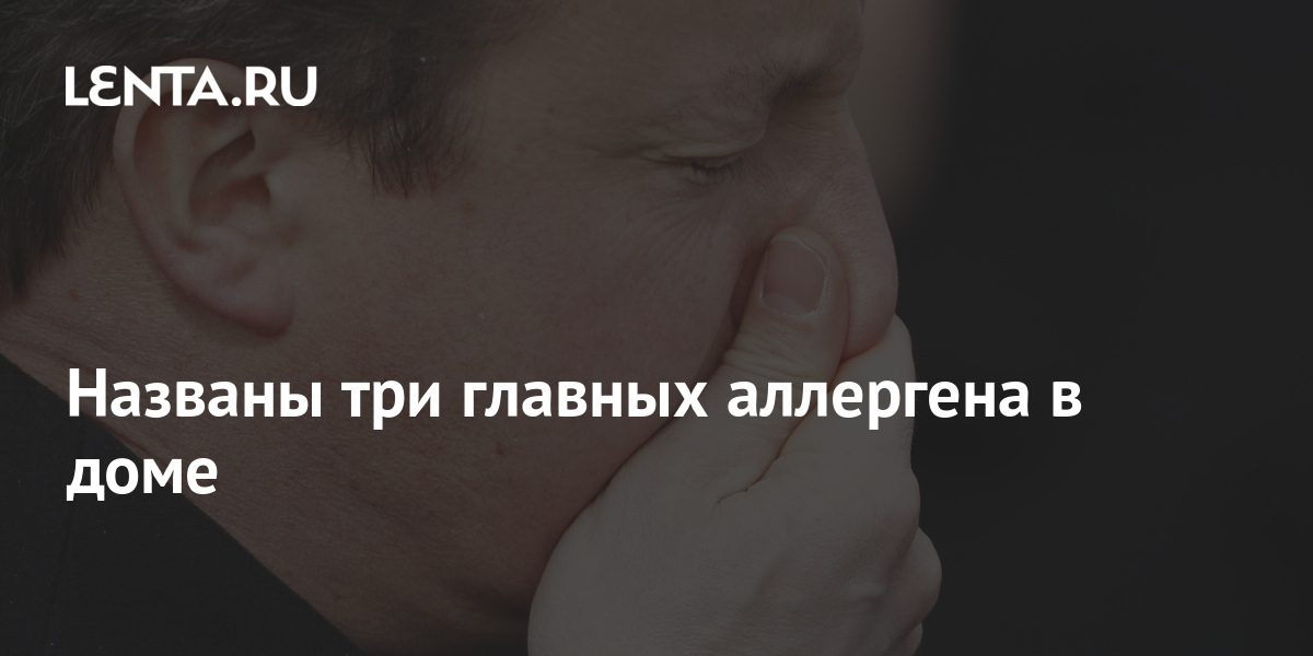 Названы три главных аллергена в доме: Общество: Россия: Lenta.ru