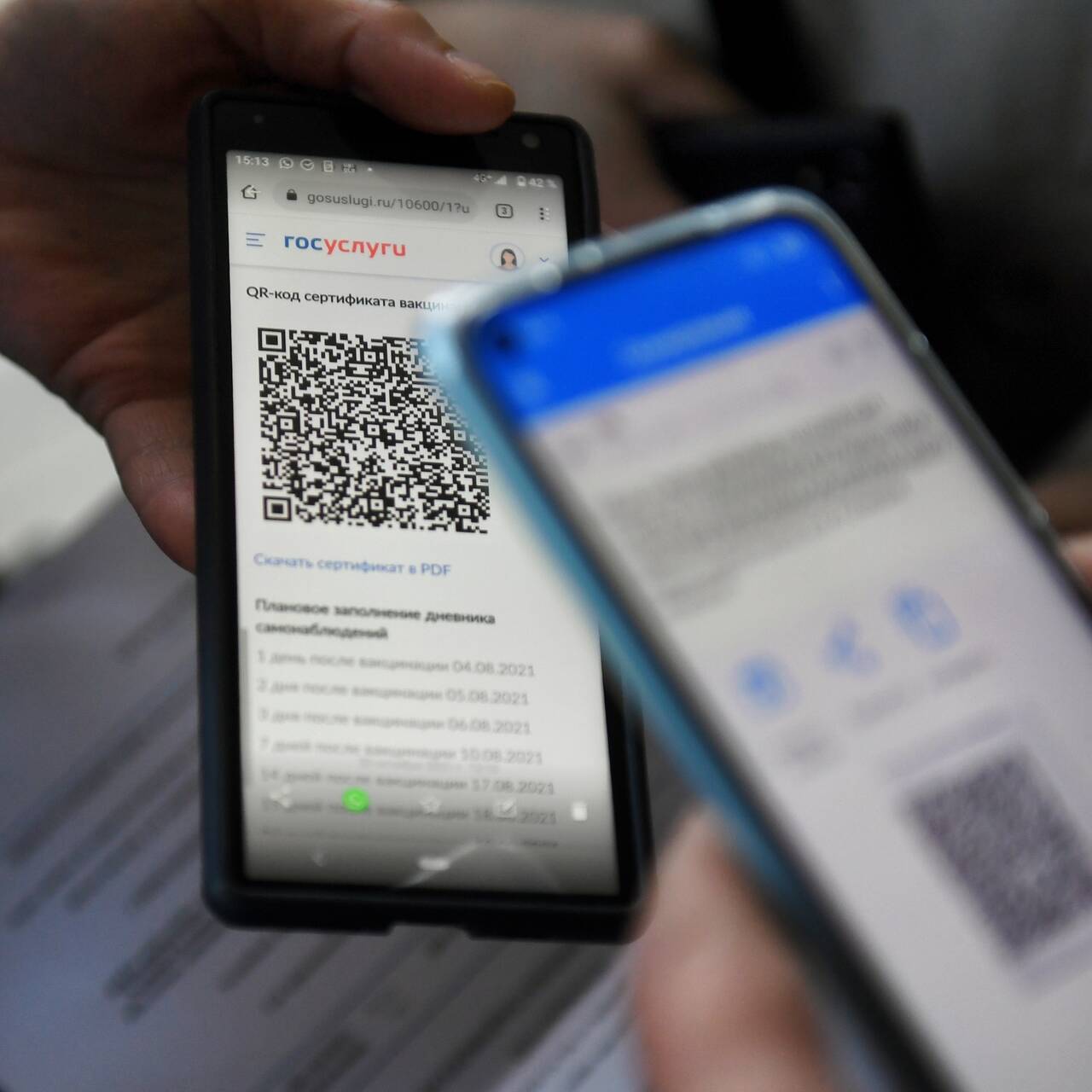 В РЖД согласились ввести QR-коды в поездах: Россия: Путешествия: Lenta.ru