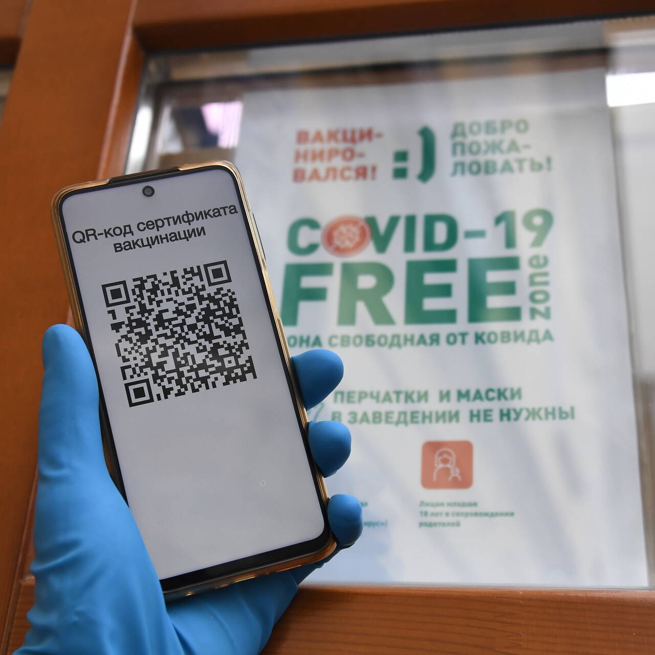 В России допустили введение вторых паспортов в виде QR-кодов: Общество:  Россия: Lenta.ru