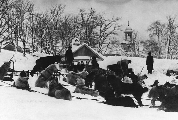  1919 год. Собачьи упряжки на одной из улиц Петропавловска 