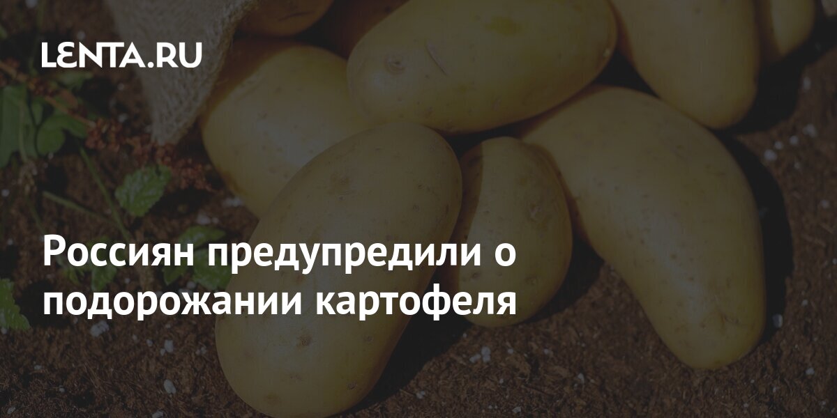 Объявление продам картофель образец