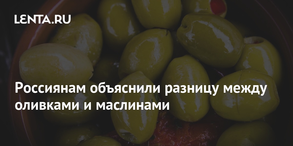 Россиянам объяснили разницу между оливками и маслинами: Еда: Из жизни ...