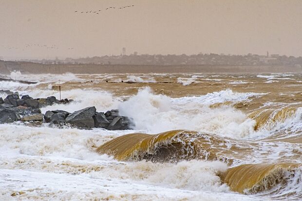 Вводная картинка