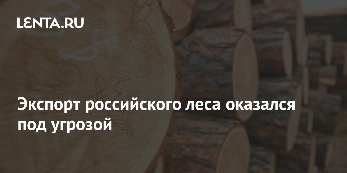 экспорт леса в мире 2021