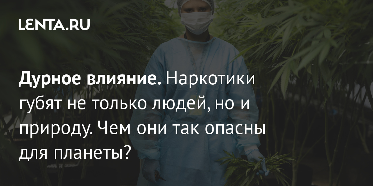 Кама наркотики что делает соль наркотик видео