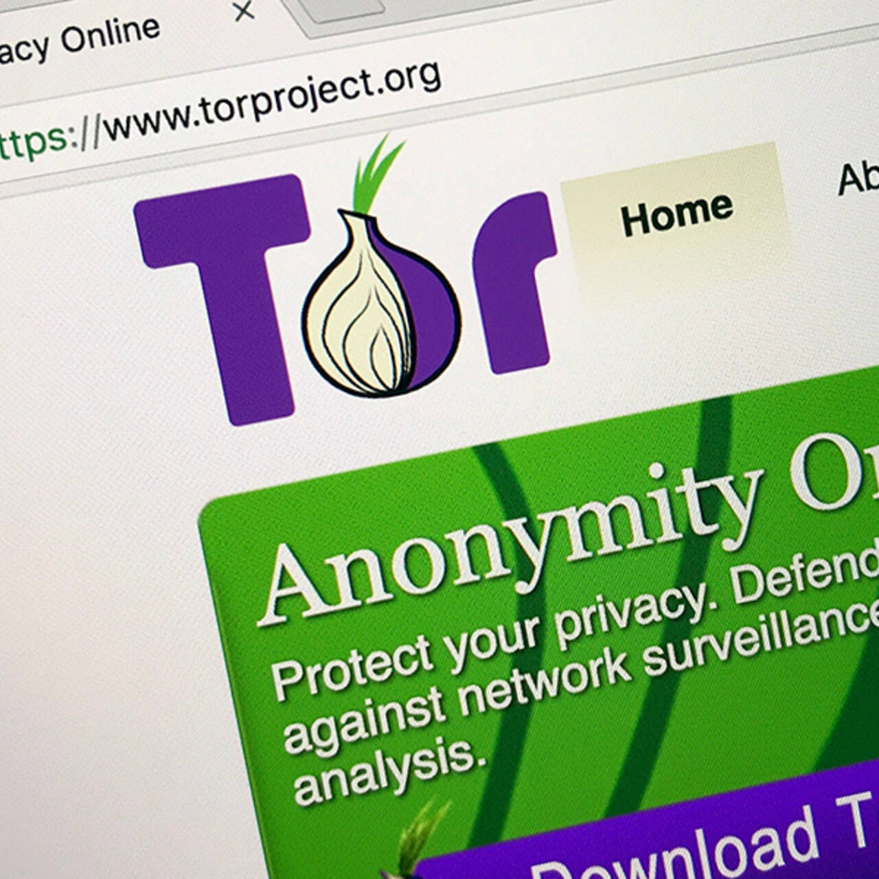 В России решили заблокировать Tor. Почему власти ополчились на анонимный  браузер?: Интернет: Интернет и СМИ: Lenta.ru