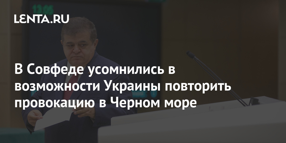 В Совфеде усомнились в возможности Украины повторить провокацию в Черном море: Политика: Россия: Lenta.ru