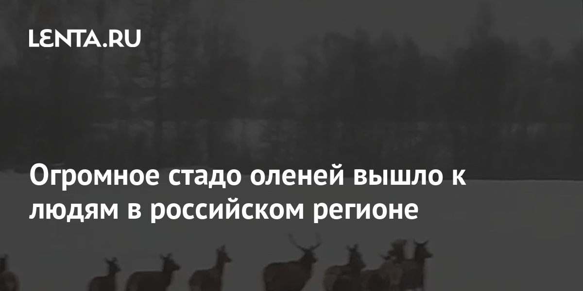 В старинном парке тянулись длинные аллеи величественных дубов и лип большие стада оленей схема