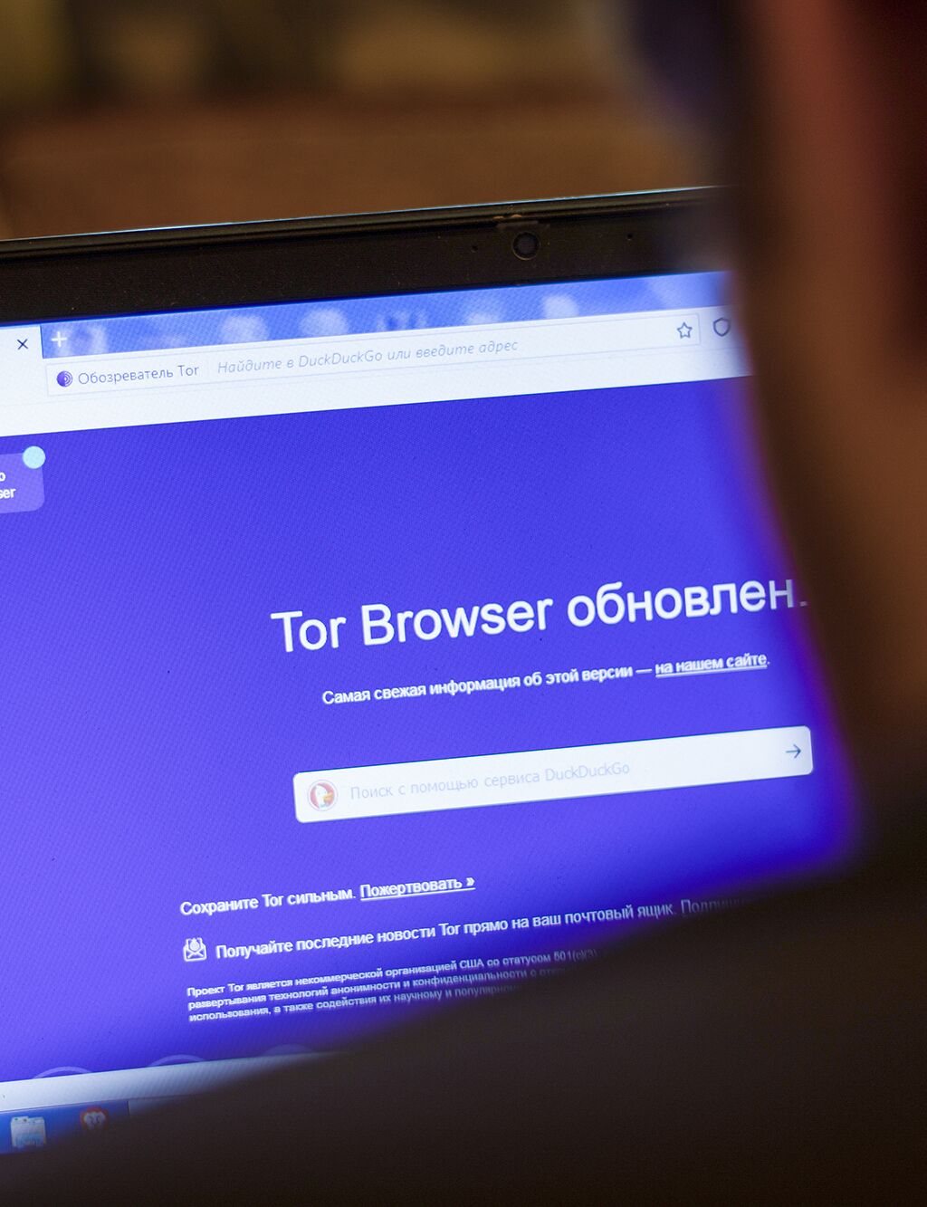 tor browser заблокировали mega