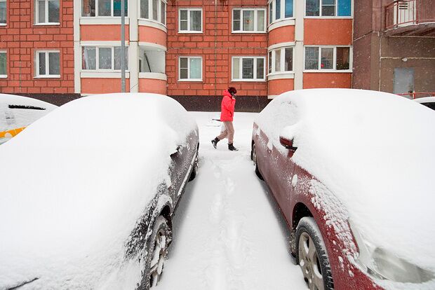 Вводная картинка