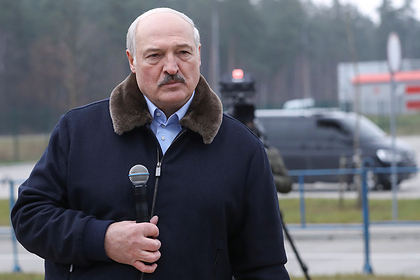 Лукашенко заговорил о падеже скота