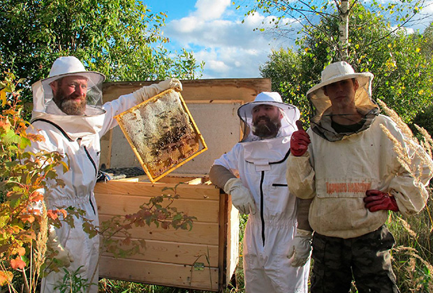 А как вы смотрите на то, чтобы приобщиться к пчеловодству? Даже знаменитый сыщик Шерлок Холмс, не говоря уже о бывшем московском мэре, считали это занятие исключительно полезным