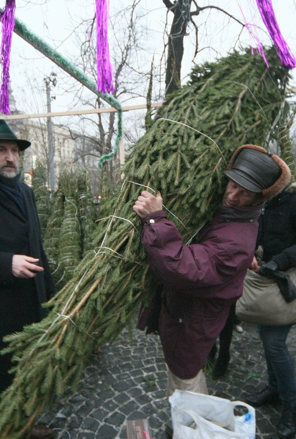 Правила Новогодней Елки