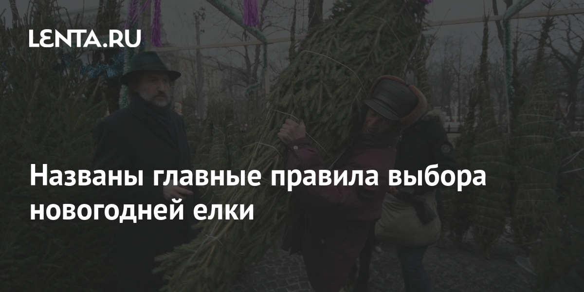 Правила Новогодней Елки