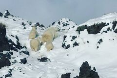 Что нашли в якутии. Смотреть фото Что нашли в якутии. Смотреть картинку Что нашли в якутии. Картинка про Что нашли в якутии. Фото Что нашли в якутии