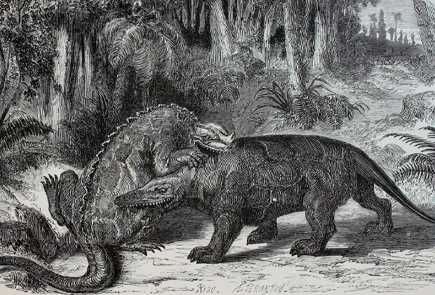 Битва мегалозавра и игуанодона