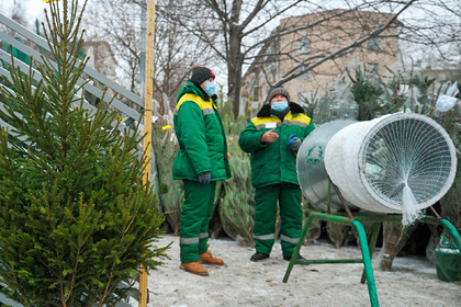 Ведущий Первого канала предупредил об опасности новогодних елок