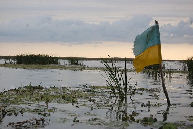 Вводная картинка