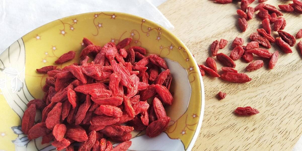 can dogs eat goji berries