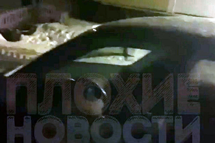 В Бурятии после обнаружения тела россиянки в салоне машины задержали отца и сына