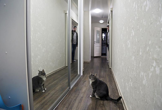 Фото: Юрий Стрелец / Коммерсантъ