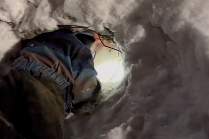 Уральский мальчик спас залезших в трубу новорожденных щенков и попал на видео