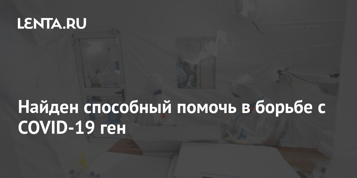 Найден способный помочь в борьбе с COVID19 ген Здоровье