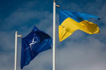 Украинец предложил разместить на его участке базу НАТО