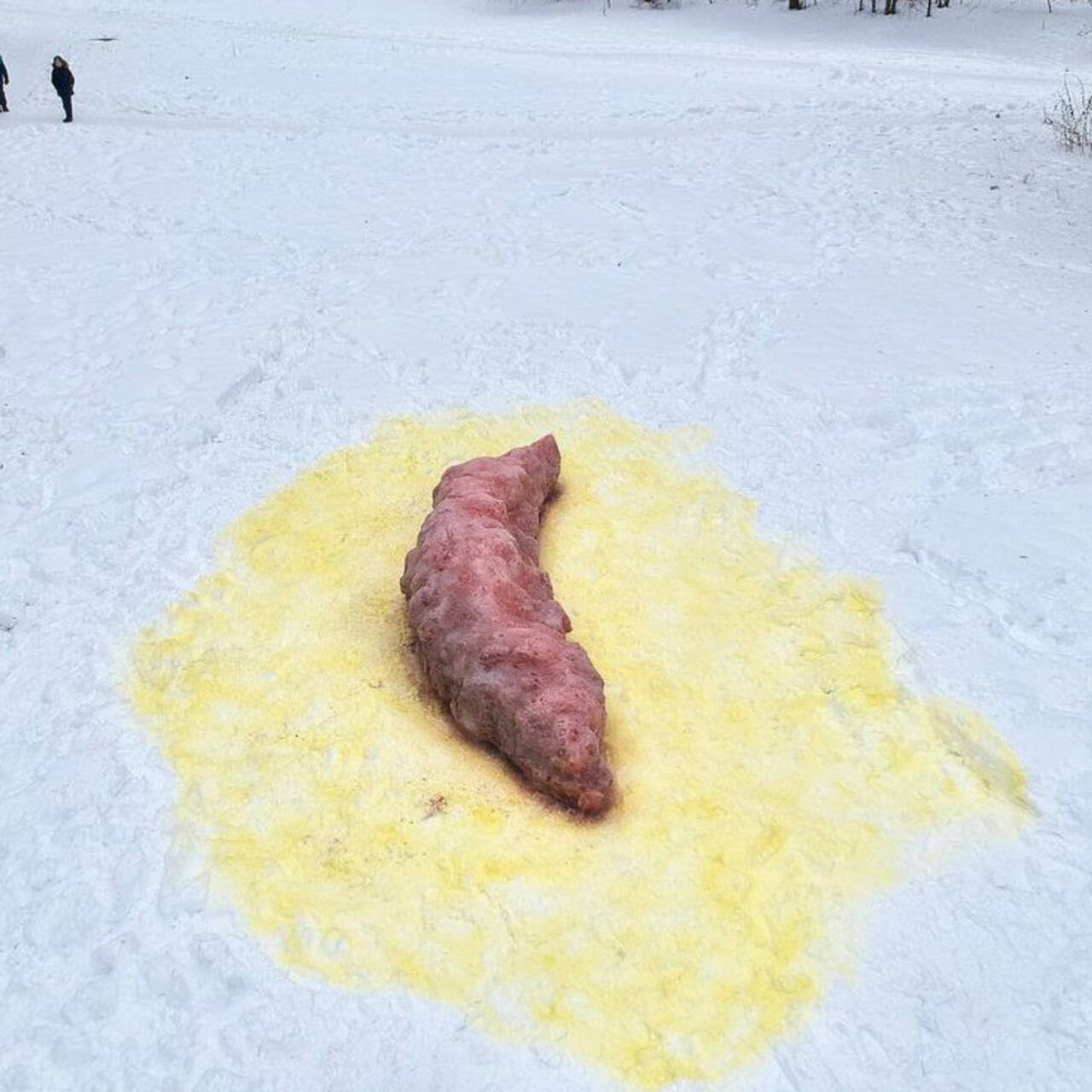 Зима Говно