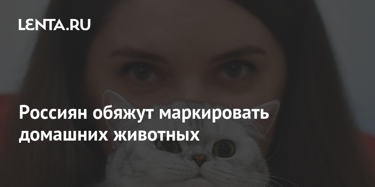 Депутат бурматов заявил о планах обязать россиян маркировать домашних животных