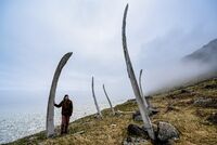 На страже вечной мерзлоты. Что искать туристу в лучших национальных парках Арктики?