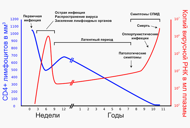 Течение ВИЧ-инфекции