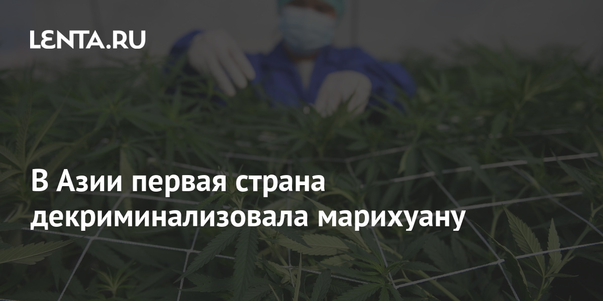 россия легализацию марихуаны
