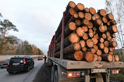 Начальник российского таможенного поста попался на взятке за экспорт леса