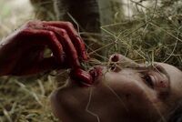 Ведьма-философ, каннибал-комедия и полицейское государство: самые страшные фильмы «Сандэнса»-2022