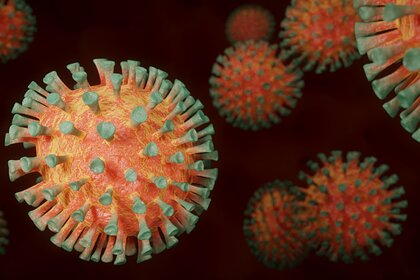Ученые предупредили о риске биобезопасности из-за коронавируса