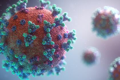 Ученые обнаружили новый резервуар коронавируса: последние открытия