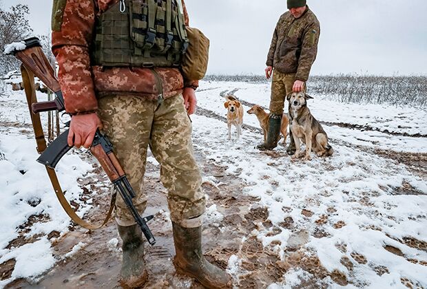 Военнослужащие Вооруженных сил Украины с собаками возле села Зайцево в Донецкой области, 18 декабря 2021 года