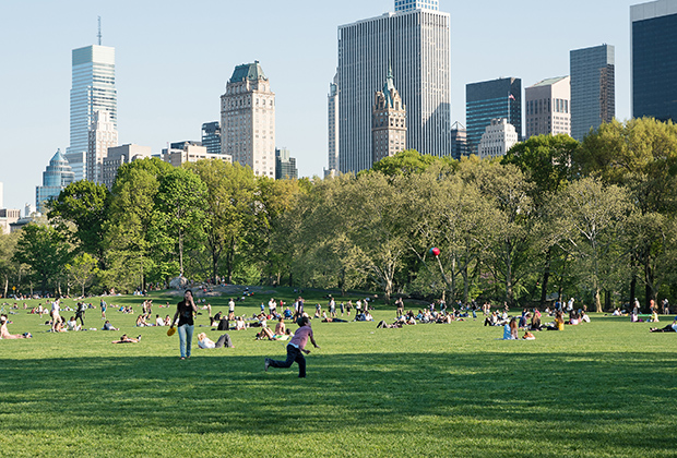 Люди наслаждаются активным отдыхом в Центральном парке