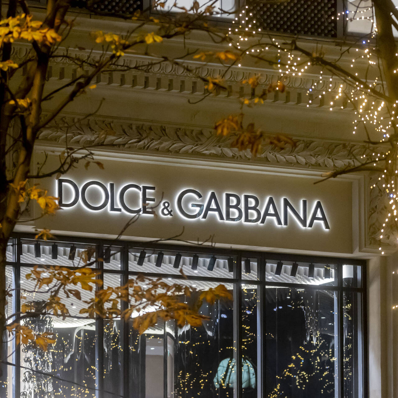 Dolce & Gabbana изменится ради спасения планеты: Климат: Среда  обитания: Lenta.ru